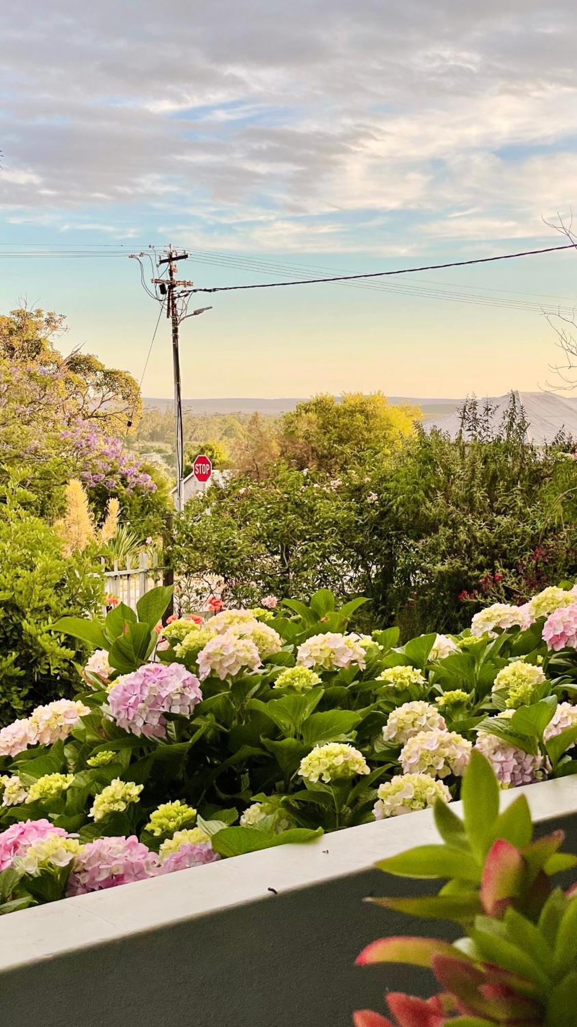 Rosehaven Cottage Swellendam Eksteriør bilde